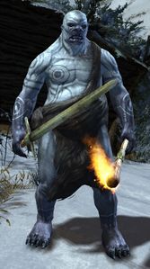 Jotun torch.jpg