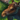 Mini Moose.png