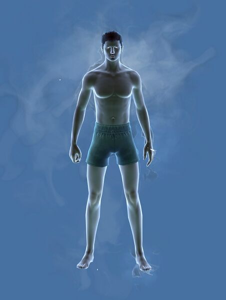 File:Mistwalker Infusion.jpg