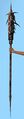 Primitive Pillar Skin