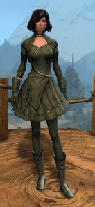 Appearance on light armor.