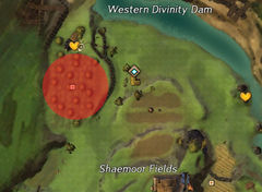 Spider Egg Sac location.jpg
