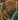 Sunken Halls of Clarent map.jpg