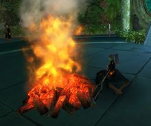 Sweet Campfire Treat.jpeg