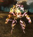 An Anomalous Form of a charr.