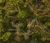 Auric Basin chests Morwood Wilds 2.jpg