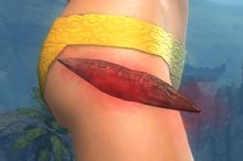 Bloodseeker stowed.jpg