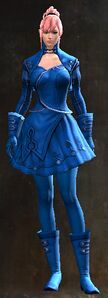 Appearance on light armor.