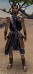 Elonian male 8.jpg