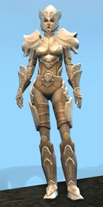 Appearance on heavy armor.