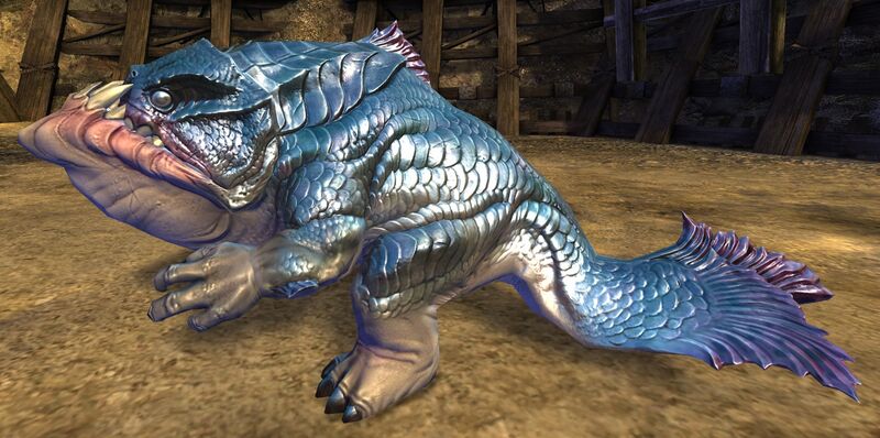File:Enraged Quaggan (no weapons).jpg