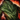 Evergreen Coat.png