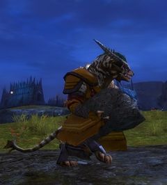 Flame Legion Ammo Runner.jpg