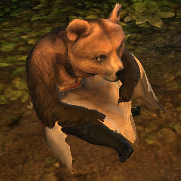 File:Lowland Kodan cub Landspeaker sit.jpg