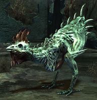 Risen Chicken.jpg