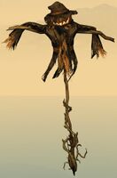 Scarecrow front.jpg