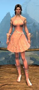 Appearance on light armor.
