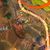 Tangled Depths Hidden Chest 22.jpg