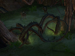 Thorn Barrier.jpg