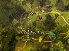 Young Mushrooms map.jpg