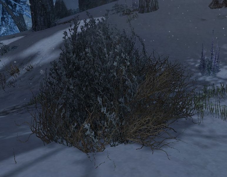 File:Brush.jpg