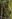 Darkwound Defile map.jpg