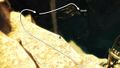 Drydock Scratch solution step 9-2.jpg