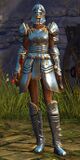 Ebon Vanguard Warrior F2 (warhorn).jpg