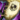 Elegant Guild Back Banner.png