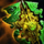 Jade Tech Shield.png