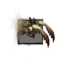 Juvenile Lashtail Devourer.png
