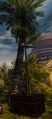 Thumbnail for version as of 14:31, 27 January 2022