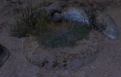 Padded Ground.jpg