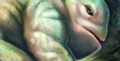 Thumbnail for version as of 20:17, 11 March 2015