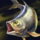 Sardinata.png