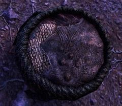 Weathered Vessel.jpg