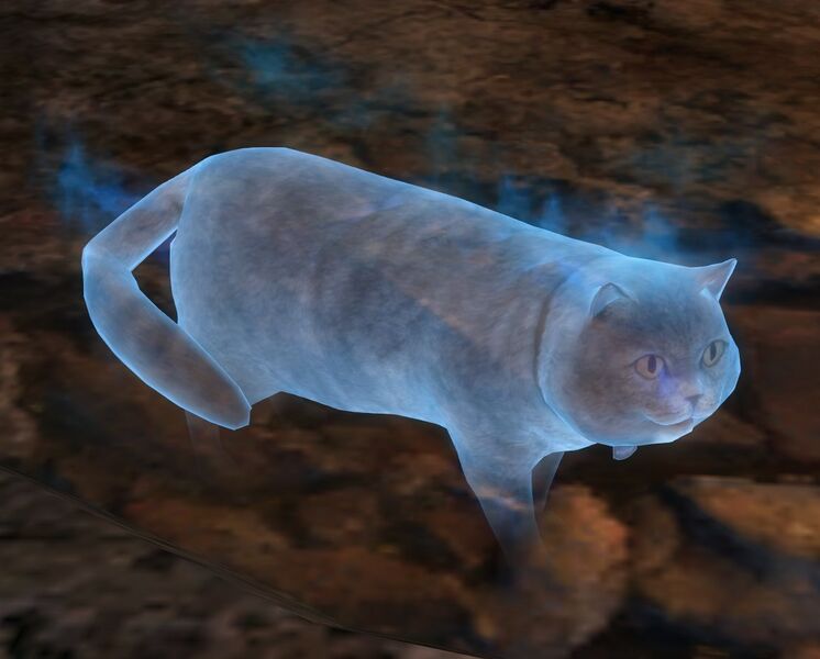 File:Alfa.jpg