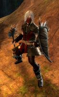 Bandit male 1 (mace and shield).jpg