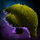 Body Topiary.png