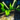 Bowl of Ascalonian Salad.png