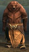 Brown Lowland Kodan (skirt).jpg