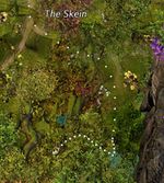 Chasing Waterfalls 3.jpg