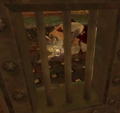 Inmate Bruiser.jpg