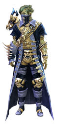 Krytan armor sylvari male front.jpg