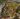 O'del Academy map.jpg