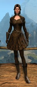 Appearance on light armor.