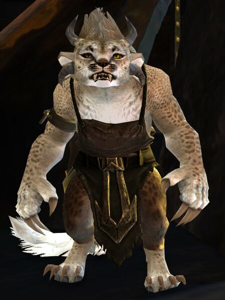 File:Refugee Cub.jpg