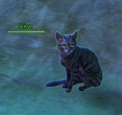 Slisse.png