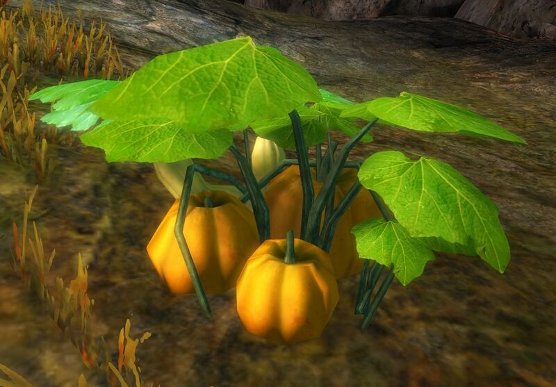 File:Sugar Pumpkin (node).jpg