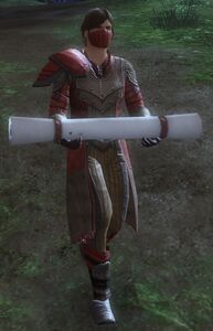 Bandit Thief.jpg